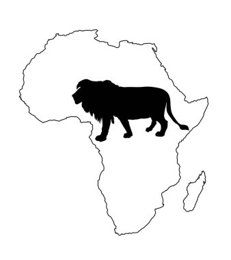 Kıta Afrika haritası, beyaz arkaplanda izole edilmiş aslan vektör silüeti çizimi ile siluet oluşturur. Hayvan kralı. Büyük kedi. Afrika 'nın gururu. Leo Zodiac sembolü. Vahşi yaşam yırtıcısı. 