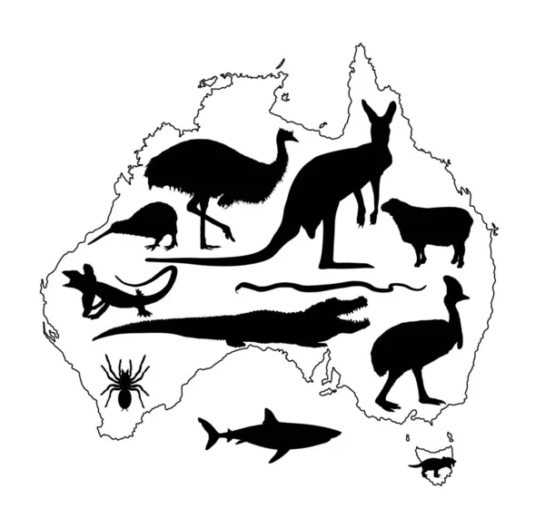 Animales Australia Colección Silueta Vector Ilustración Contorno Silueta Vectorial Mapa — Archivo Imágenes Vectoriales