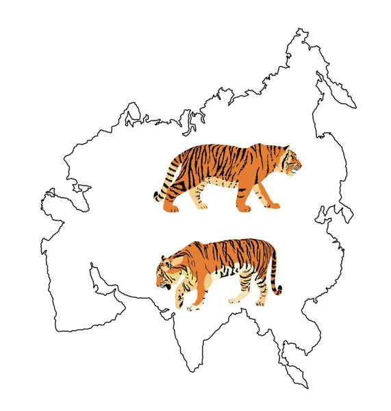 Ilustración Vectorial Del Tigre Aislada Asia Contorno Del Continente Mapa — Archivo Imágenes Vectoriales