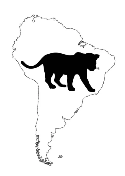 Güney Amerika Haritasındaki Vahşi Kedi Jaguar Vektör Silueti Çizimi Beyaz — Stok Vektör