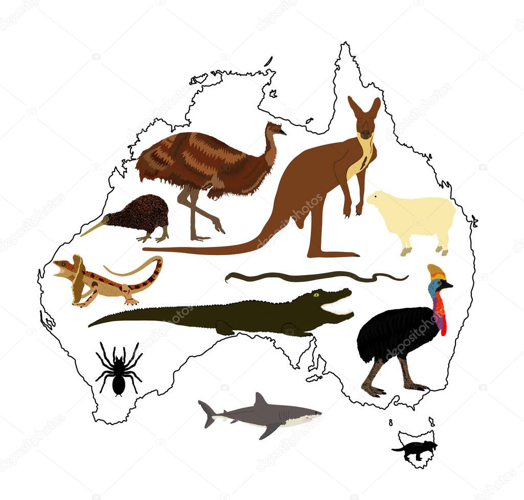 Animals from Australia vector illustration collection. Australian map vector silhouette contour illustration isolated on white background. Continent symbol.