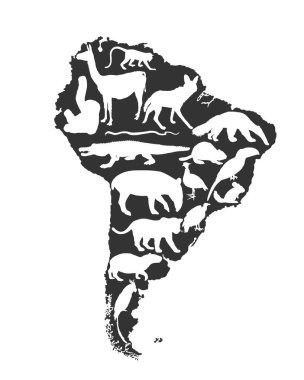 Güney Amerika 'nın kıta haritası vahşi hayvanlarla dolu vektör silueti. Turistler için seyahat yeri. Vahşi yaşam egzotik çekim jaguarı, çinçilla, cayman, capybara, lama, dev karıncayiyen, papağan.