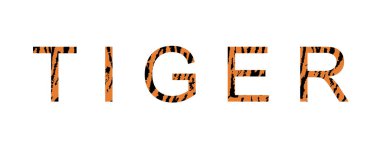 Beyaz arka planda kürkü, dokusu ve kaplan derisi çizimi olan 