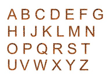 Jaguar alfabesi, vektör yazı tipi beyaz arkaplanda izole edilmiş vahşi desen vektör çizimi. Hayvani kelimeler yazılı, jaguar harfleri işaretli. Güney Amerika vahşi hayvan derisi sembolü.