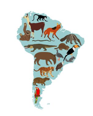 Güney Amerika kıta haritası vahşi hayvanlarla vektör çizimi. Turistler için seyahat yeri. Vahşi yaşam egzotik çekim jaguarı, çinçilla, cayman, capybara, lama, karıncayiyen, papağan.