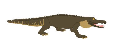 Beyaz arkaplanda timsah vektör çizimi izole edildi. Timsah sembolü. Cayman çizimi, güçlü sürüngen hayvanı. Suyun altında yırtıcı etobur.