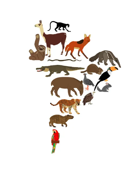 Mapa Continental América Del Sur Vector Ilustración Con Animales Salvajes — Vector de stock