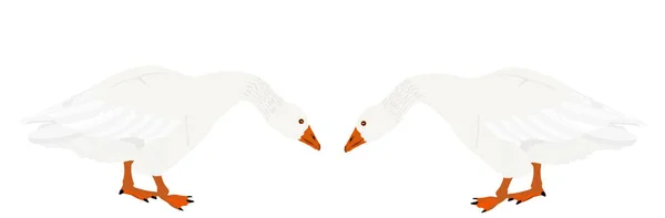 Goose Fighting Female Vector Illustration Isolated White Background Battle Mating — Stock Vector