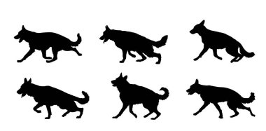 Alman Çoban Köpeğinin portresi köpek vektör silueti izole edildi. İnsanın en iyi dostu. Güzel hayvan koşusu. Köpek gösterisi sergisi. Bulucu patlayıcı ve uyuşturucu tespit etti. Kurtarma köpeği. Akıllı hayvan..