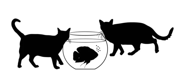 Dos Gatos Hambrientos Caminando Alrededor Los Peces Oscar Silueta Vectorial — Vector de stock