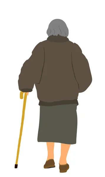 Abuela Caminando Con Ilustración Vectorial Palo Aislado Sobre Fondo Blanco — Vector de stock