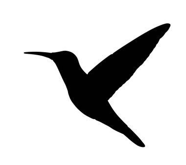 Sinekkuşu vektör silüeti beyaz arkaplanda izole edilmiş. Tropikal küçük kuş kobri sembolü.