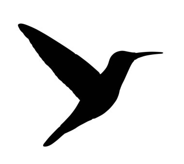 Sinekkuşu vektör silüeti beyaz arkaplanda izole edilmiş. Tropikal küçük kuş kobri sembolü.