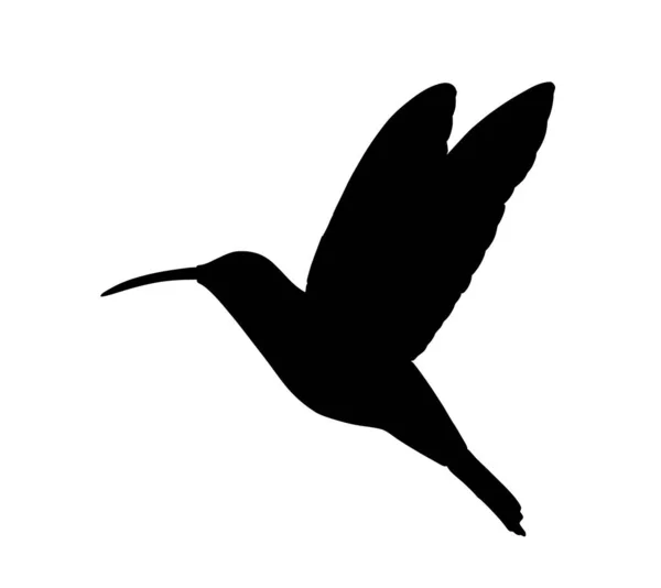 Hummingbird Silhouette Vettoriale Isolato Sfondo Bianco Uccellino Tropicale Simbolo Colibri — Vettoriale Stock