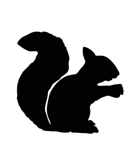 Squirrel Vector Silhouette Illustration Isolated White Background Funny Tiny Rodent — Stock Vector