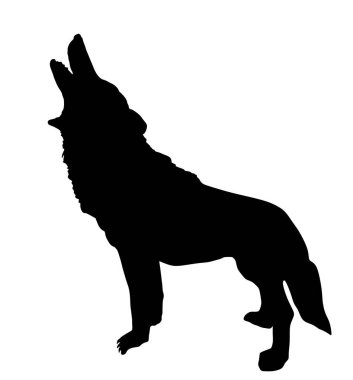 Kurt, arka planda izole edilmiş dolunay vektör siluetinde uluyor. Açık çeneli kızgın yırtıcı hayvan. Kurt gölgesi şeklinde. Cadılar Bayramı korkunç sahnesi, av arayan aç bir hayvan..