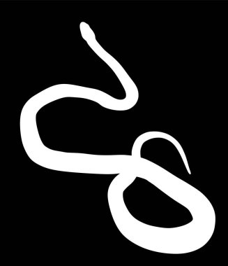 Arka planda yılan vektör silueti çizimi izole edildi. Yılan dövmesi. Zehirli yılan sembolü. Ölümcül zehir, ilaç ya da eczanenin sembolü. Yılan gölgesi şeklinde..