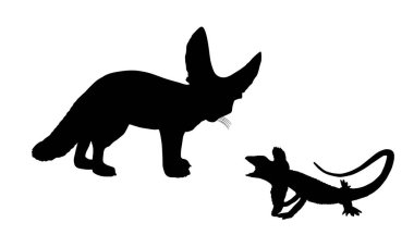 Beyaz arka planda izole edilmiş Fennec tilkisi kertenkele vektör silueti çizimi. Çöl tilkilerinin gölgesi av sürüngenlerini avlar. Vulpes sıfır avcı. Afrika 'da çöl, Sahra vahşi yaşamı.