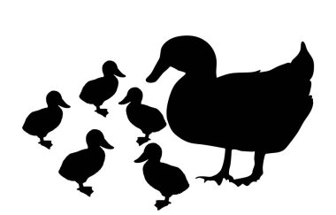 Ördek ailesi sürüsü vektör silueti çizimi izole edildi. Evcil çiftlik kümes hayvanları ailesi. Ördekli dişi ördek, anne ve bebekler doğada.