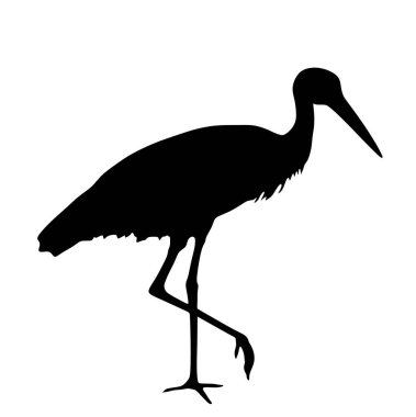 Arka planda izole edilmiş zarif leylek vektör silueti çizimi avlanıyor. Ziyaretçi göçmen kuş, leylek suda yiyecek buluyor. Su yankı sistemi. Leylek gölgesi oluştur.
