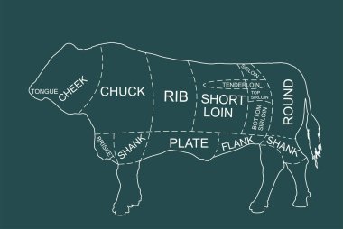 Boğa eti parçaları kasap diyagramı vektör silueti çizimi izole edildi. Evcil hayvan eti kesimi grafik çizelgesi. Şef aşçılık rehberi. Sığır kasabı diyagramı. Vücut parçaları yemek mutfağı.