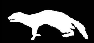 Sansar vektör silueti çizimi izole edildi. Avda küçük, ölümcül bir hayvan. Marten şekilli gölge çizgi filmi.