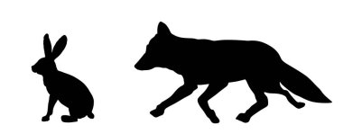 Kurnaz avcı tilki, izole edilmiş bir tavşan vektör siluetini gizler. Akıllı hayvan avcısı. Arkasında aç tilki avlama tavşanı var. Orman yaban hayatı besin zinciri tehlikesi. Avlanmak için sinsice sokulmak.