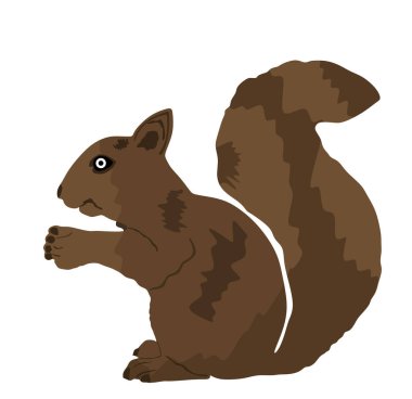 Beyaz arkaplanda sincap vektör çizimi izole edildi. Komik küçük kemirgen, ormandaki küçük hayvan. Sevimli hayvan sembolü. 