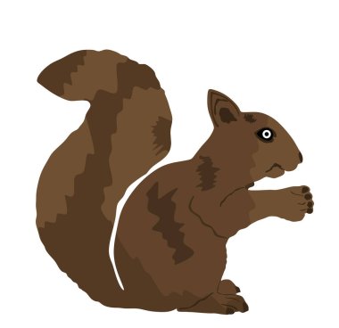 Beyaz arkaplanda sincap vektör çizimi izole edildi. Komik küçük kemirgen, ormandaki küçük hayvan. Sevimli hayvan sembolü. 