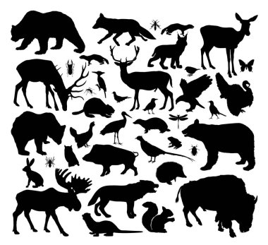 Orman hayvanları vektör siluetini izole etti. Doğa habitatına yerleşmiş vahşi yaşam hayvanı. Avcı ve av. Ekosistem besin zinciri. Otçul ve etobur şekilli. Memeliler, kuşlar ve kemirgenler..