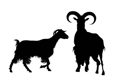 Keçi çifti vektör silueti çizimi izole edildi. Keçi ve keçi Billy, erkek ve dişi çiftlik hayvanı şekilli gölge. Organik gıda köyü sembolü. Et, peynir ve süt için doğa kumaşı.