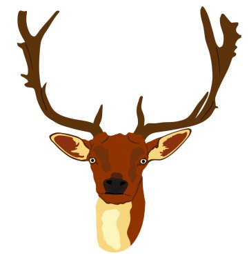 Geyik baş vektör çizimi beyaz arkaplanda izole edildi. Sika geyik başı sembolü, gururlu Noble Geyik Ormanda veya Hayvanat Bahçesinde. Güçlü bir erkek, kocaman bir boynu ve boynuzları var. Kızıl geyik.