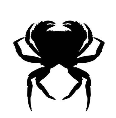 Yengeç vektör silüeti çizimi izole edildi. Yengeç şekilli gölge. Güzel yemek deniz yemekleri..