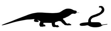 Komodo ejderhası avcı kral kobra yılan vektör silueti izole edildi. En büyük kertenkele yılan şeklindeki gölgeye saldırıyor. Komodo, zehirli sürüngenlerle savaşan avları izliyor. Varanus komodoensis.