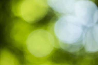 Bokeh ile arka plan ışıkları orman yayılmış