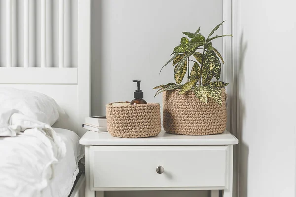Scandinavian Interior White Colors Home Plant Jute Basket Lifestyle Authentic — Stock Photo, Image