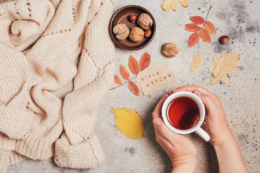 Sonbahar dairesi çay fincanı, renkli sonbahar yaprakları, beton arka planda fındıklar. Üst görünüm