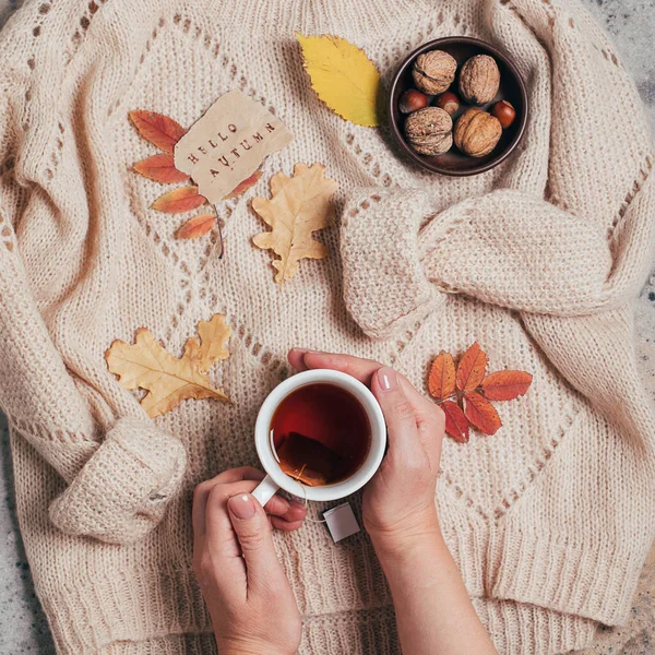 Sıcak siyah çay, kazak, fındık ve sonbahar yaprakları tutan kadın elleri. Sonbahar rahatlama kavramı.