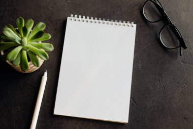 Sarmal ciltli boş bir eskiz defteri, bir kalem, sulu bir bitki ve karanlık bir yüzeyde gözlük. Yaratıcılık ve ilham için çalışma alanı atmosferi. Düz yatıyordu. Model konsepti