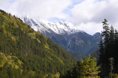 Güneşli bir günde, kar zirvesi ve bulutların altında yeşil çam ağaçları olan dağ manzarası