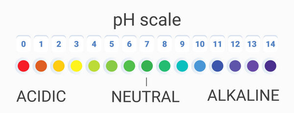 ph scale value. infographic acid-base balance. scale for chemical analysis acid base. vector illustration. colorful graph for test