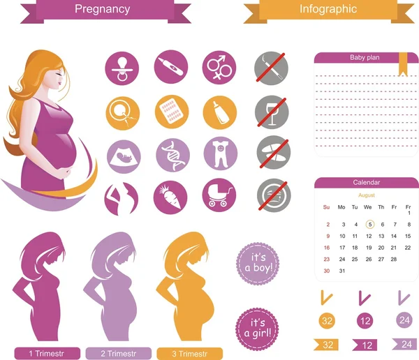 Vetor infográfico de gravidez —  Vetores de Stock