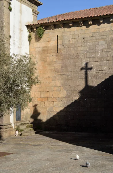 Üzerinde haç gölgesi olan bir kilisenin duvarı, bir zeytin ağacı parçası, kilise avlusunda iki güvercini izleyen bir kedi.