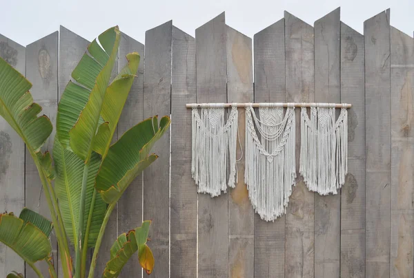 Arka plan duvarı bir tarafta bitki, diğer tarafta ip süsleme, eski tahtalar dikey, palmiye yaprakları, kırsal ve doğal çevre