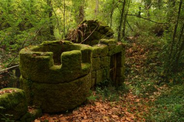 Ormanın ortasında bir değirmenin yıkıntısı. Kuru yaprakların yere düştüğü bir sonbahar atmosferi var. Taşlar tamamen yosunla kaplı.