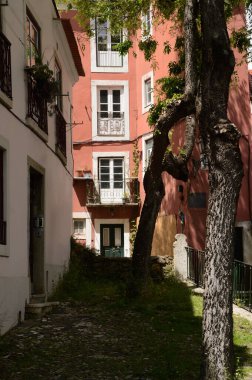 Lizbon şehir merkezindeki eski sokak, ağaçlarla ve bina cepheleriyle çıkmaz sokak, Portekiz başkenti, Avrupa