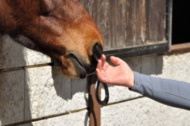 Kapalı gözlerle bir kadının elini okşadığını hissederek.