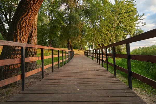 公園内の木製の橋 春の晴れた日の早朝の風景 ロイヤリティフリーのストック写真