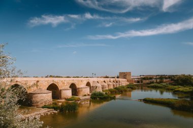 Antik Roma köprüsünde birden fazla kemer ve geçit kulesi, Endülüs 'ün Cordoba kentindeki açık mavi gökyüzünün altında yeşil bitki örtüsüyle sakin Guadalquivir Nehri' ni geçiyor.