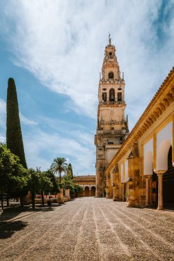 Mezquita Katedrali 'nin çan kulesi tarihi Patio de los Naranjos' un üzerinde dimdik duruyor. Antik mimari ve kaldırım taşı yolunu gösteriyor. Endülüs, Cordoba 'da aydınlık bir günde.